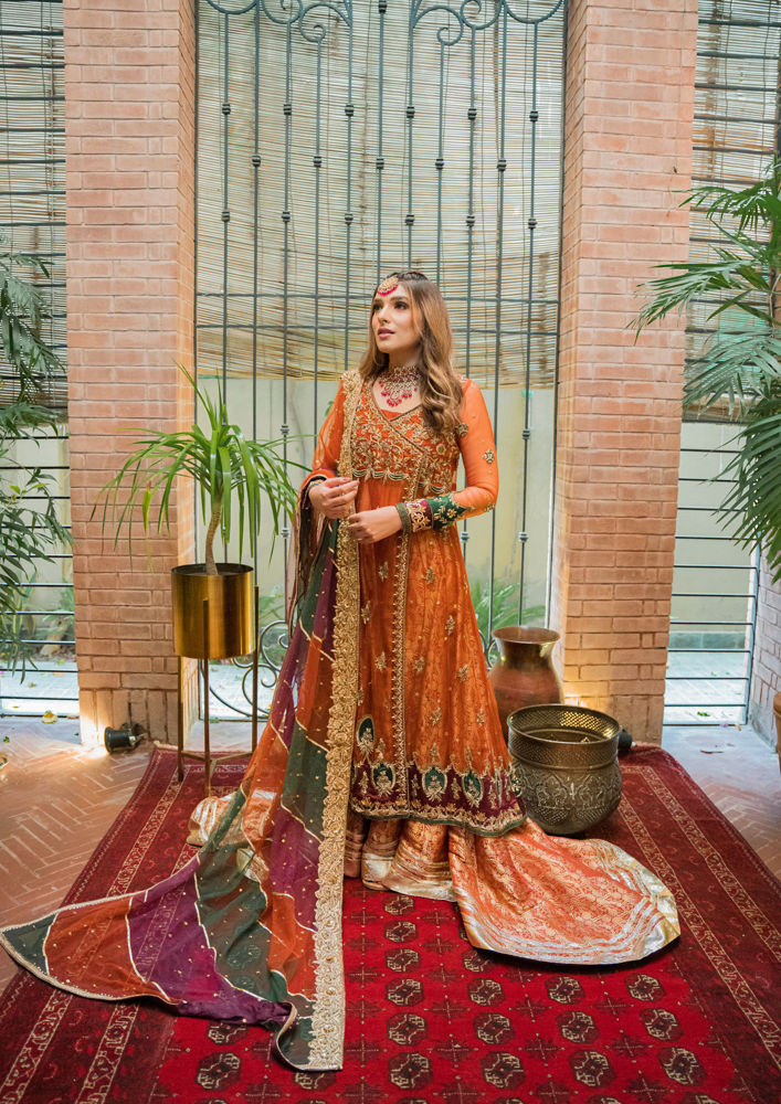 Picture of Dil Nasheen